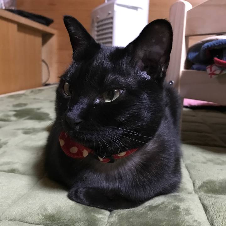 E6fd6b1e edda 42f6 a18f 15e51e2752f4