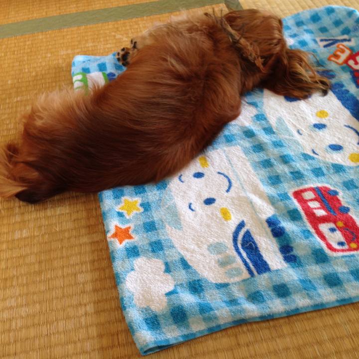 E6fdb443 559b 45f8 88d7 c9f1aa733f04