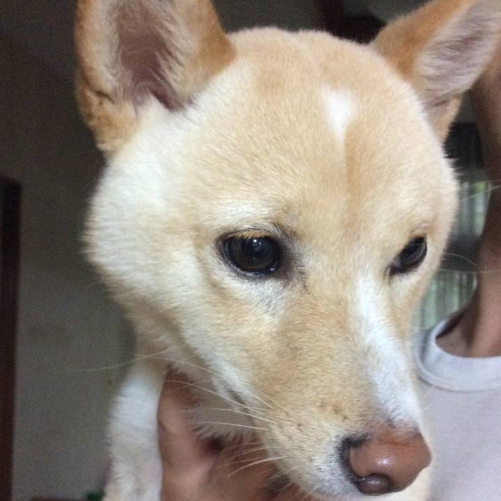 E6fe0f5b 6429 432e 8fa3 da7f797c2a3c