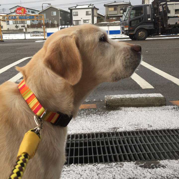 E6fe24ef e3b9 44c1 b6af c40345b7a187