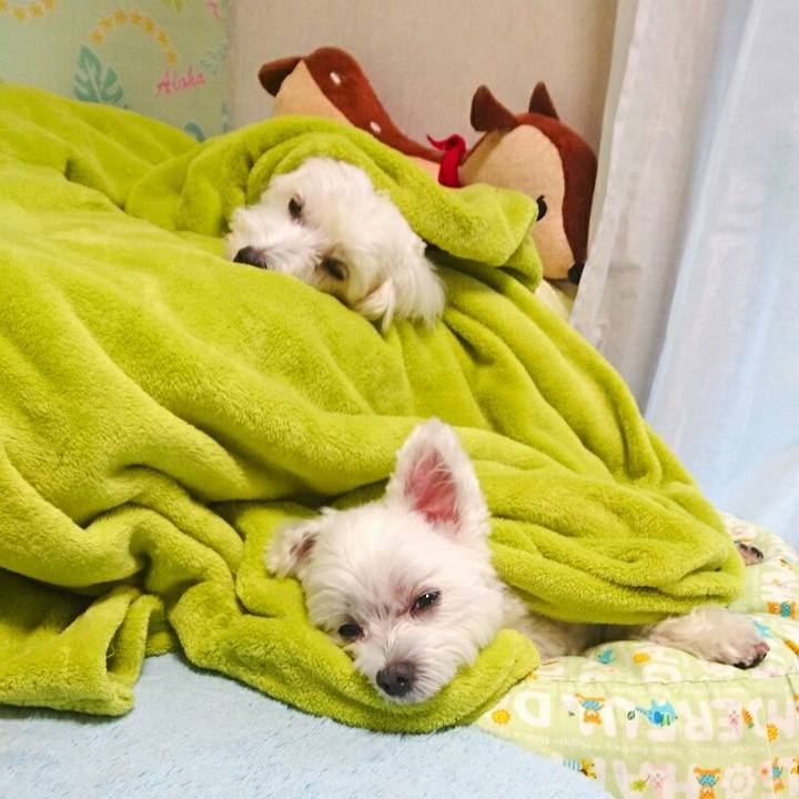 E6fedd14 e81d 4c31 8d80 5e5d4ecc587a