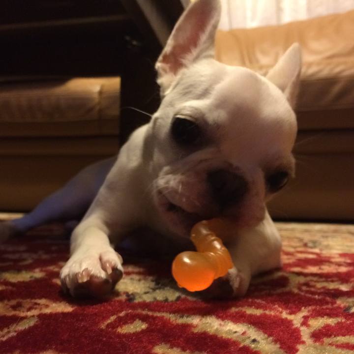 E6ff19a4 83a2 454f 9259 868f22f79fea