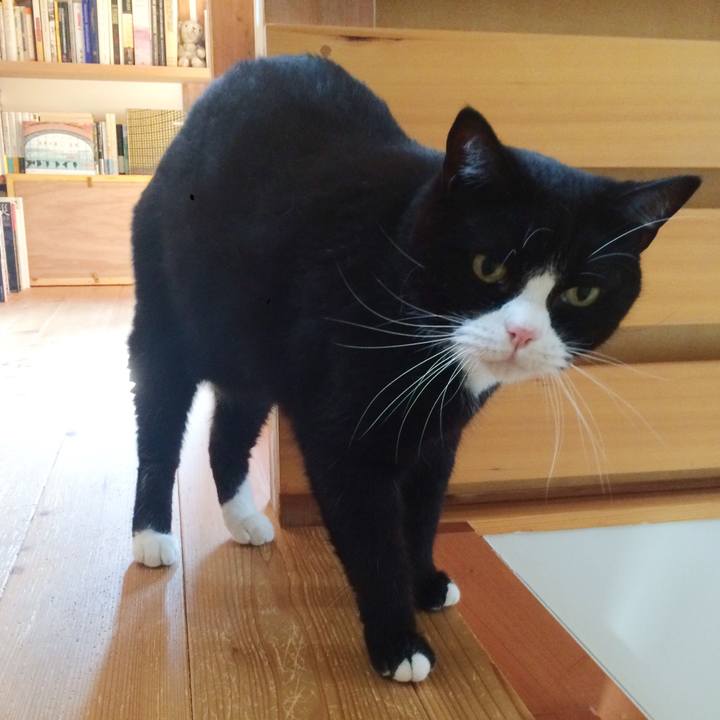 E6ffab58 6f64 41fb a7e6 266aa2c08055