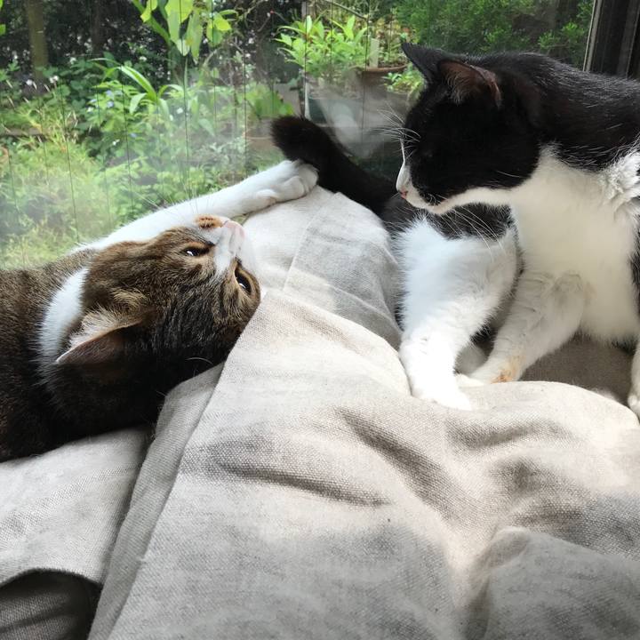 E6ffe9b6 20c3 4ebb 8534 e4d794eefc28