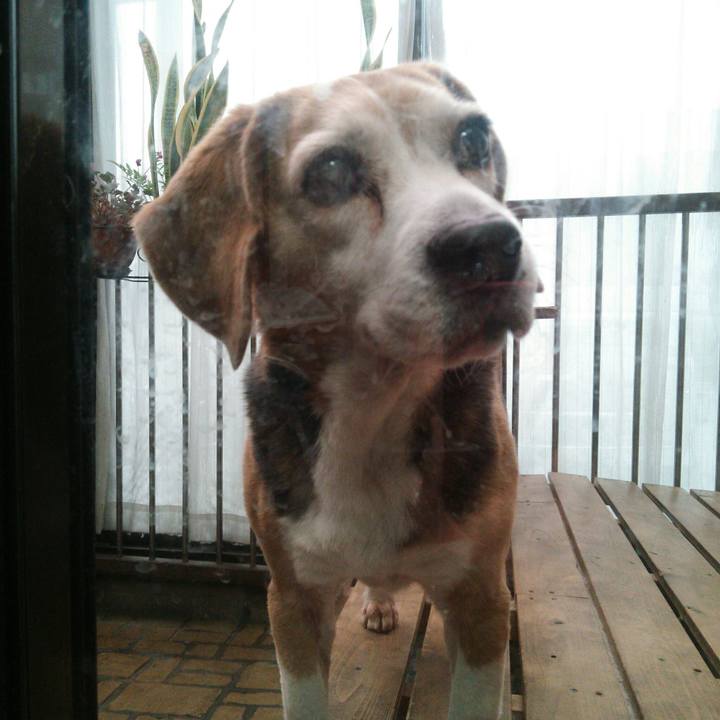 E7000538 e4e4 4aa6 96e7 343f5622fdc2