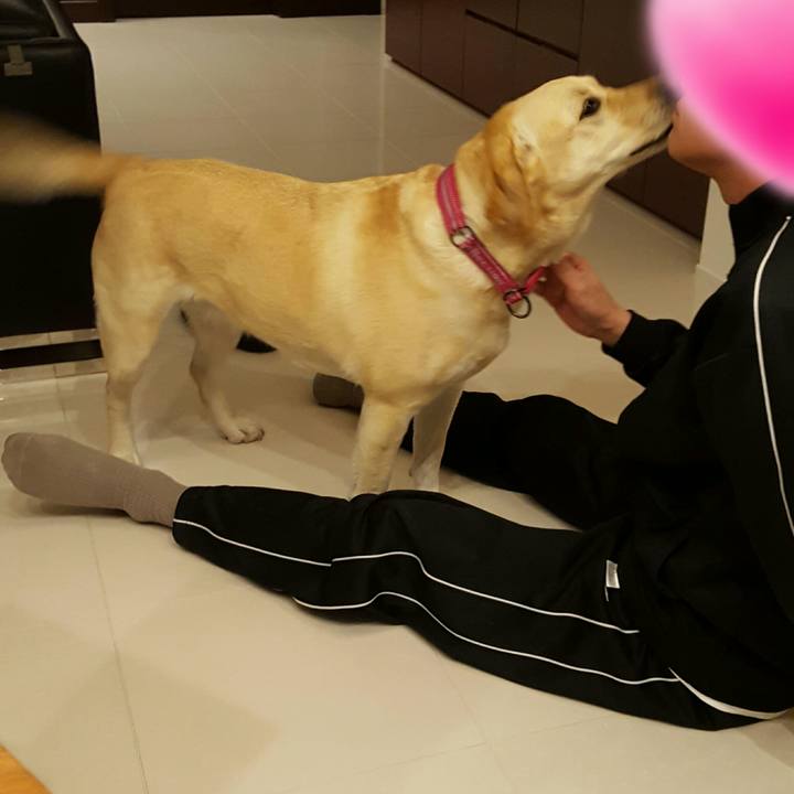 E70080ea ff08 4c13 a296 3d45b7a85908