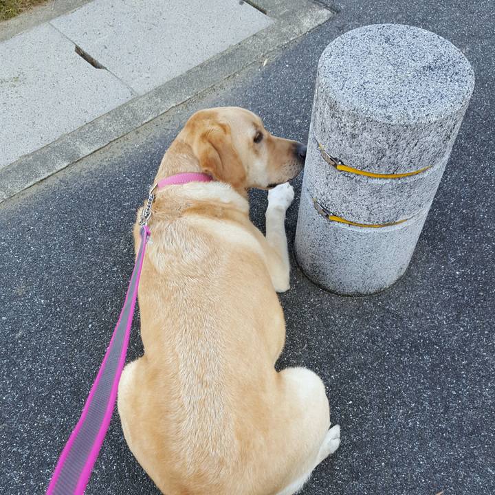 E70088ea 37fa 4f15 81b1 abe1c724ec51