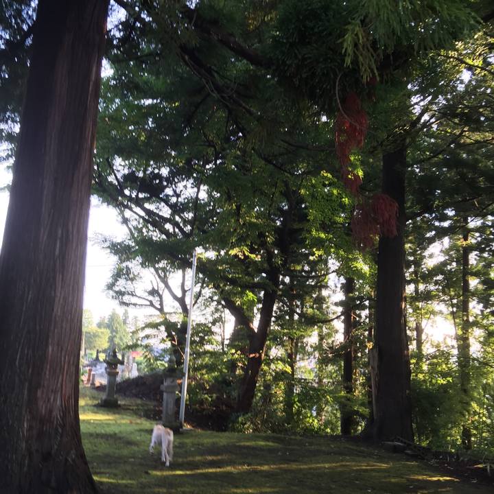 E700bf94 7821 42b0 af55 8825cd8d9dfe