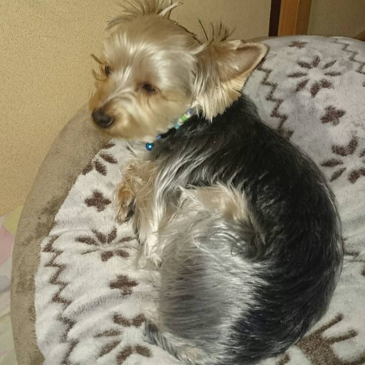 E701ec6b d1b1 4ff3 a334 c96b537c6819