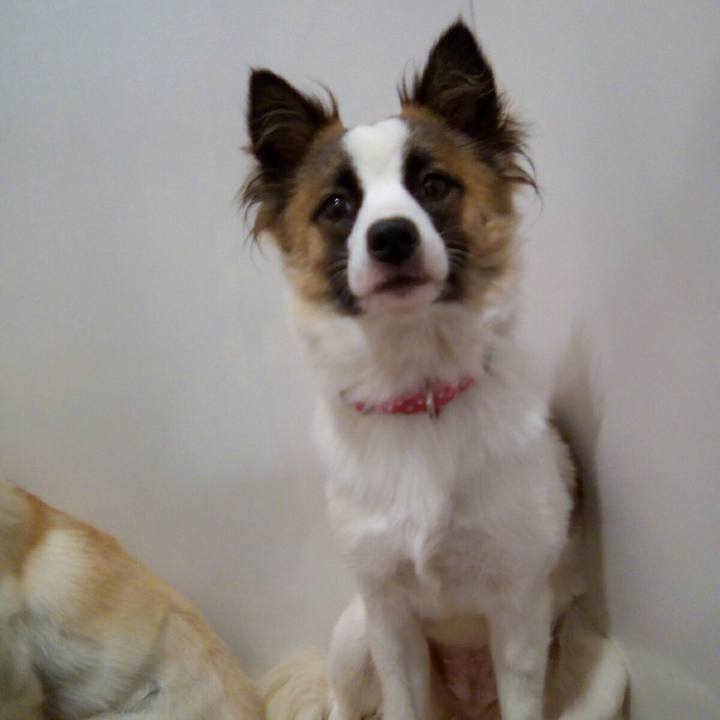 E7036a66 5be8 4445 bbc8 a7aa0ed3f5b1