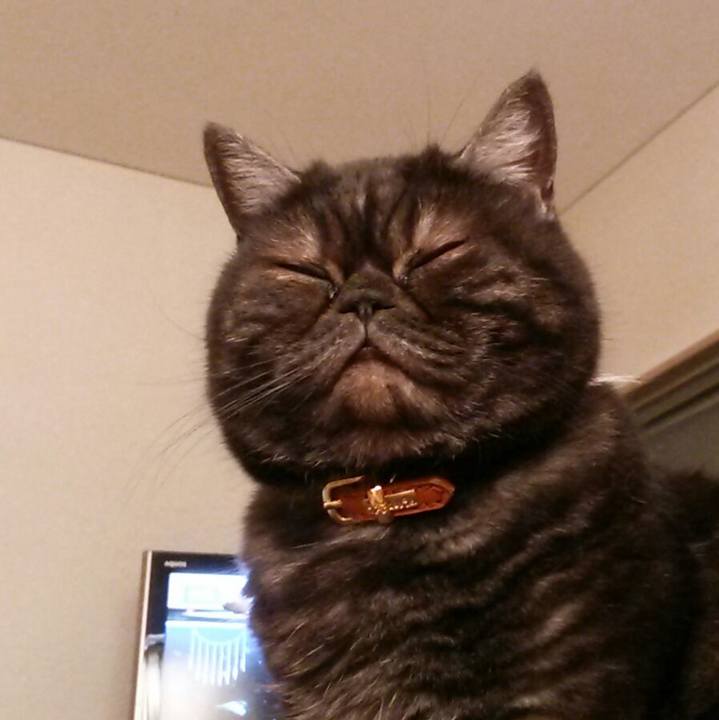 E70383b2 1c12 48fa a9c9 73f2356fc559