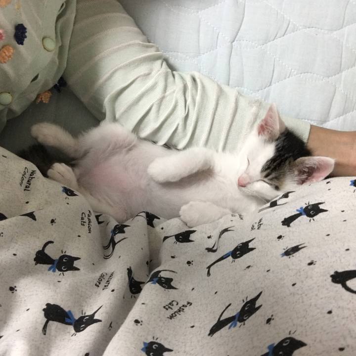 E703d944 9f29 4666 85a6 5722e113c04a