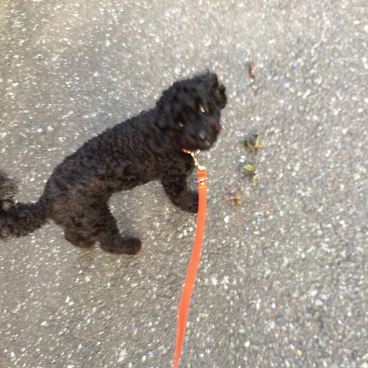 E703fe8e 8432 4a44 b7da 981dea413991