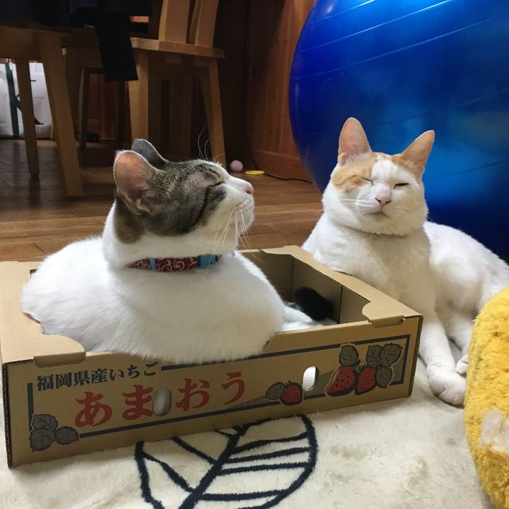 E704bada 66c2 4c75 96b4 24522087a098