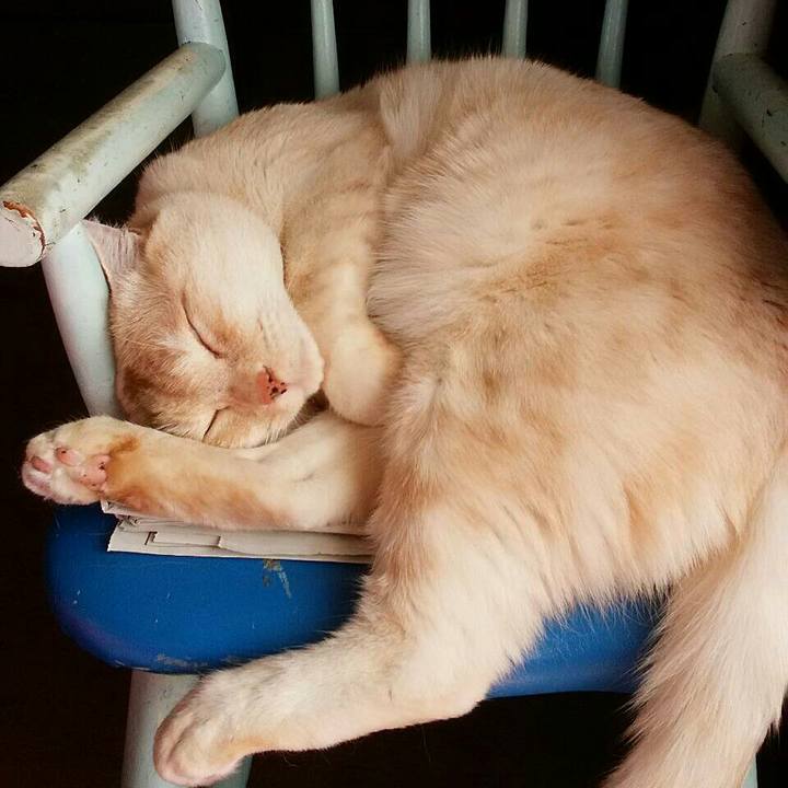 E7053cf6 550b 4377 affe 8ee9acbba59b