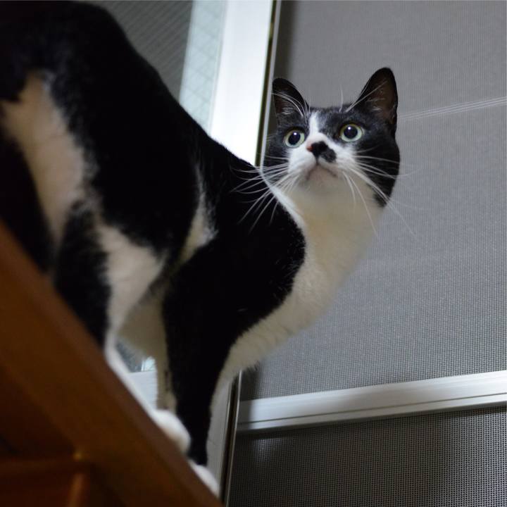 E7055b7e 0f28 44d0 b84c d149c3ac8eb8