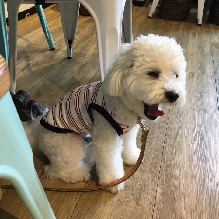 E705900c e493 4449 91b7 e64ccf8e9625