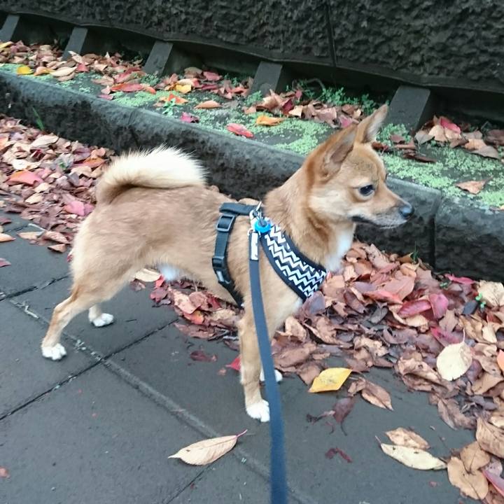 E7059426 a3ad 4dd4 8702 abdf10784a0c