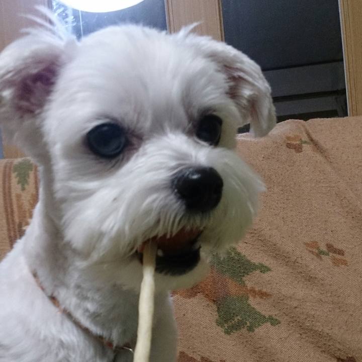 E705d495 05db 4e89 87fd 67f8dffef684