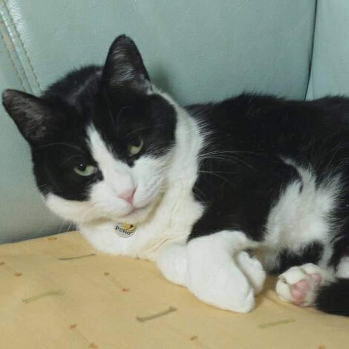 E70603cd 9c3a 4dbb 9690 14270a00210d