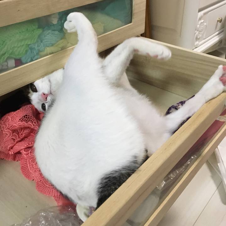 E706347a 5d68 41cb 87af b75224abe591