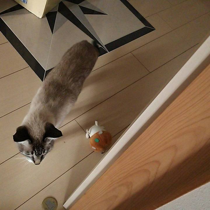 E706590c 10e6 445e 90dc fd3bd72c3259