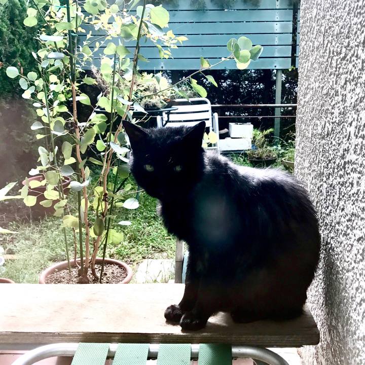 E7071761 bc5b 41bc 853d ce812ac94028