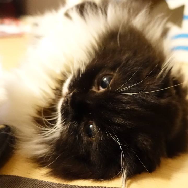 E70786b6 734d 47b3 8e13 df979e0c1b5a