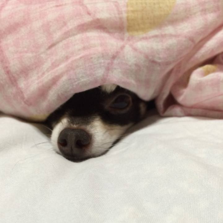 E707c8c7 e974 424e 9220 b652df34247f