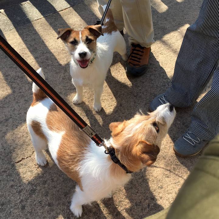 E708c0bb 9ce7 419c 841b 4bf456741768