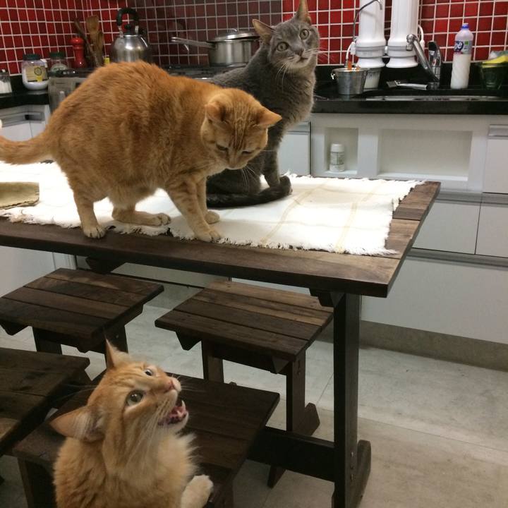 E7091d59 3fe5 47d4 9348 ff277b878779