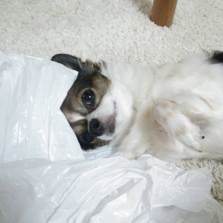 E7096c0d aa42 4a51 b805 33221feceb1b