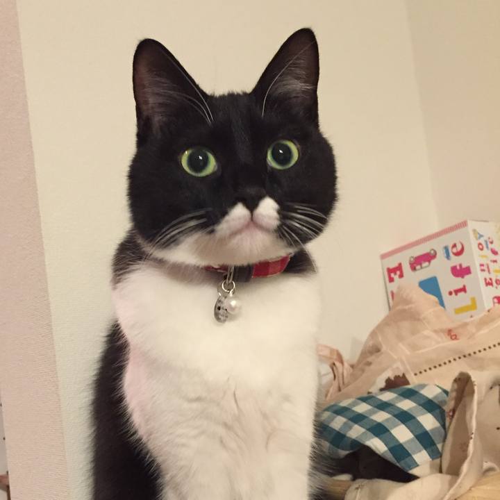 E7098c5b a4a8 4d22 9bcd d369b456b20d