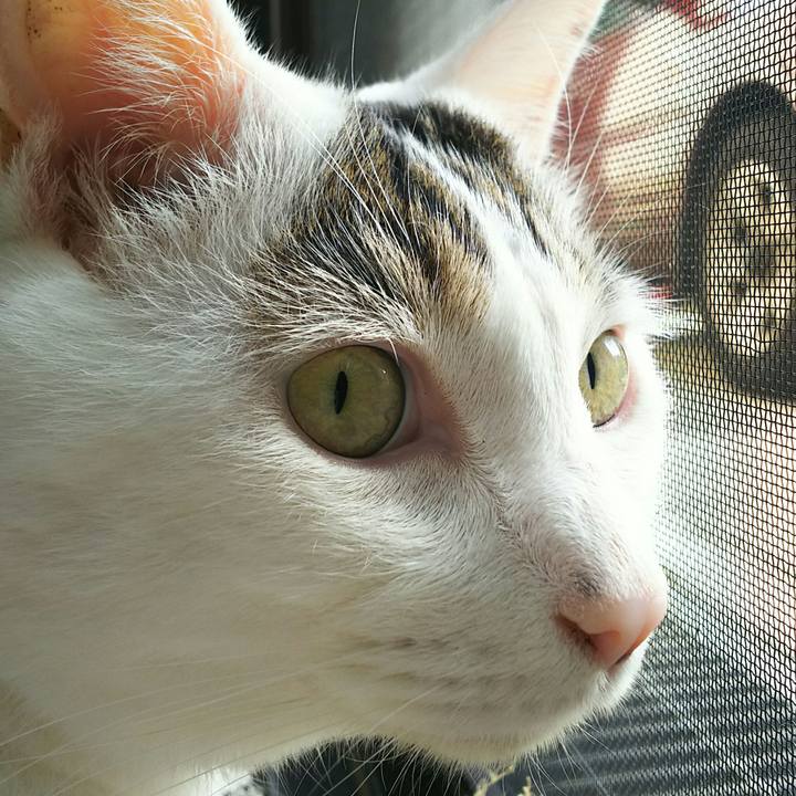 E70a2b16 a609 46d6 a6d4 19a42b3e1473