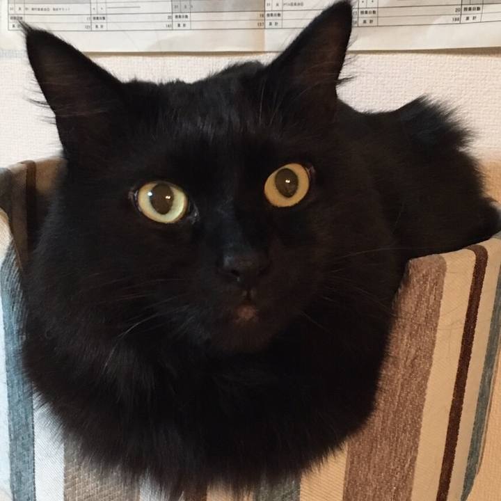 E70a45a6 645e 4f75 b46a 7e9922746bcd