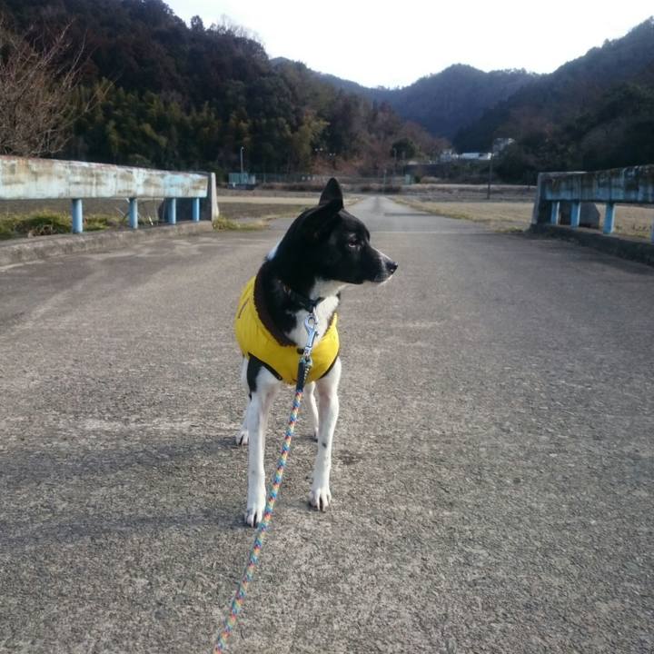 E70a5b72 cd6d 4bbf 9154 d8a831f44ec8