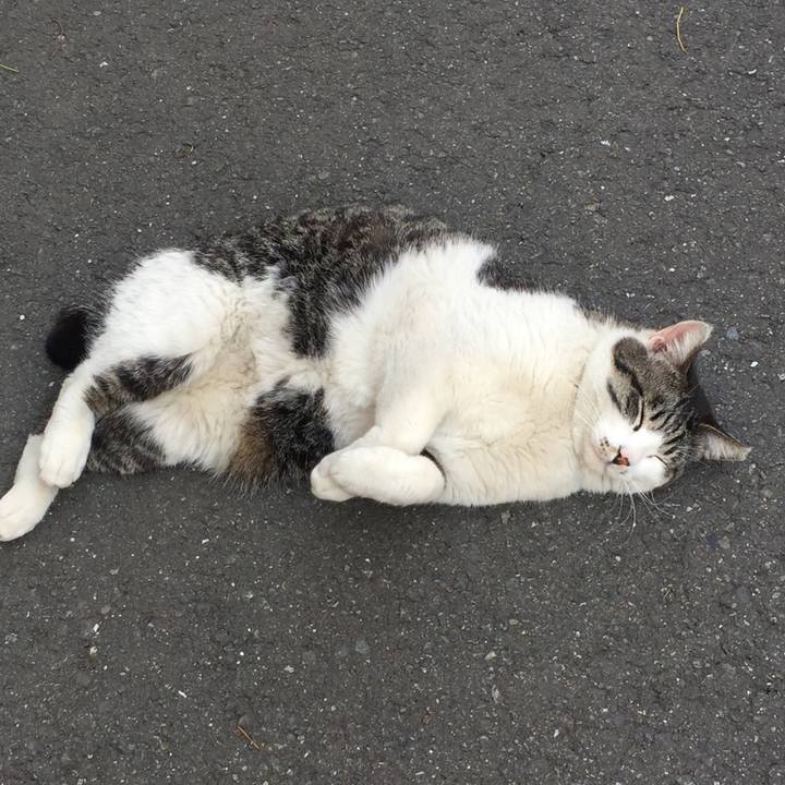 E70abddb bb5e 4180 bb13 decfb4167252