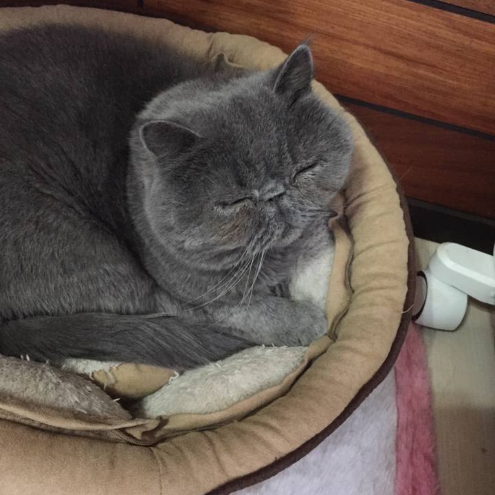 E70afbab c1ee 4f82 9b9f c825b82e9852