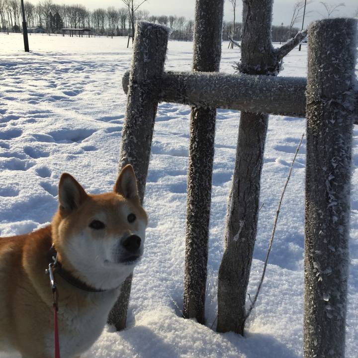 E70b415e 1268 402d b2e9 f1151bb67dea