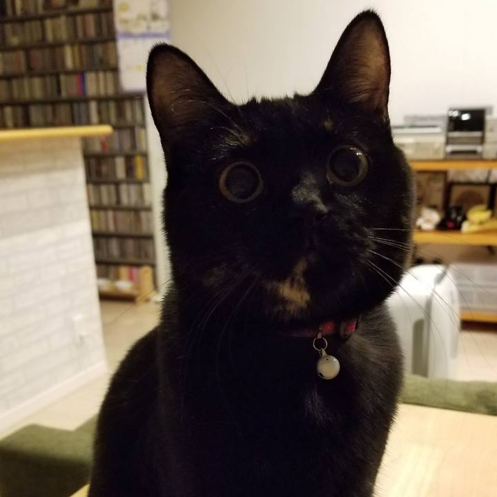 E70c3299 612d 4b3d abaa 742f9113c2f2