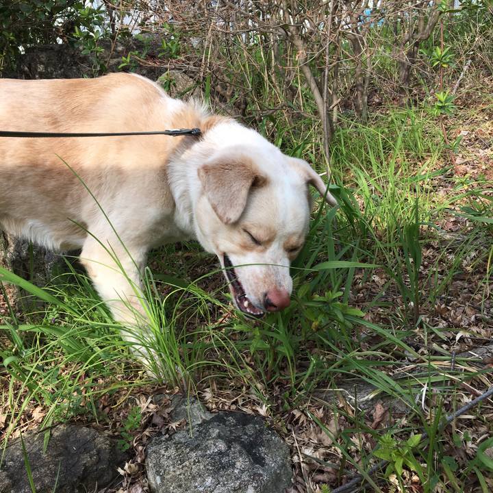 E70c7ae0 a828 4c2e 9aa2 914e8883a22c