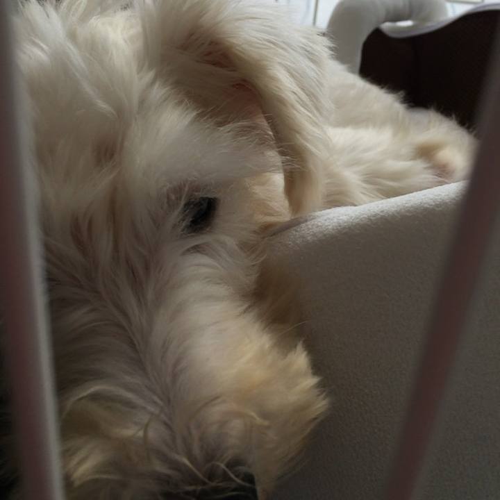 E70d02cd 5782 4251 8778 55a87c39b3f2