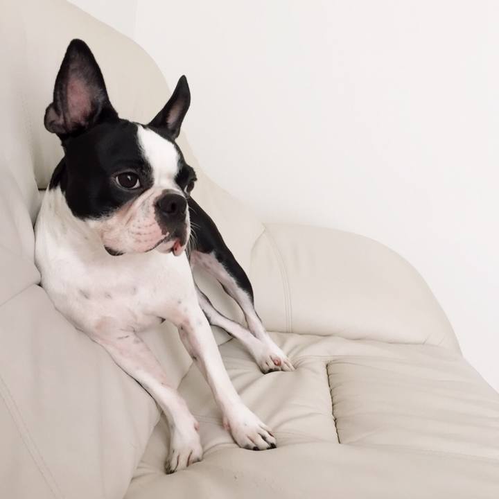 E70d7abe 1df7 4d3f a7f4 00695863d2cb