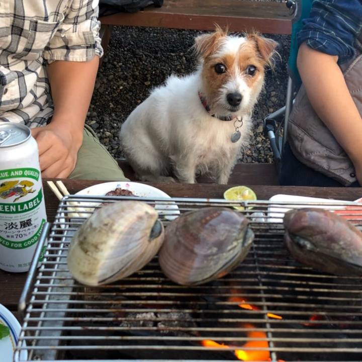 E70db3b7 ca32 4434 8454 0249338521c4