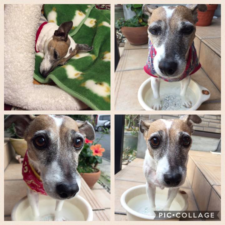 E70dded3 138f 4c16 bb33 052217d5fcd7