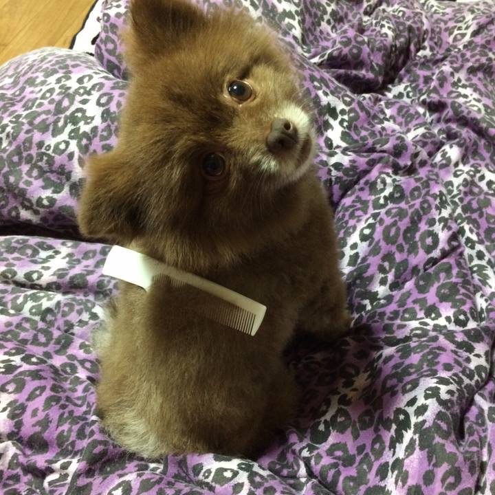 E70e2eef fcf5 400b bbf9 72a8eff655b8