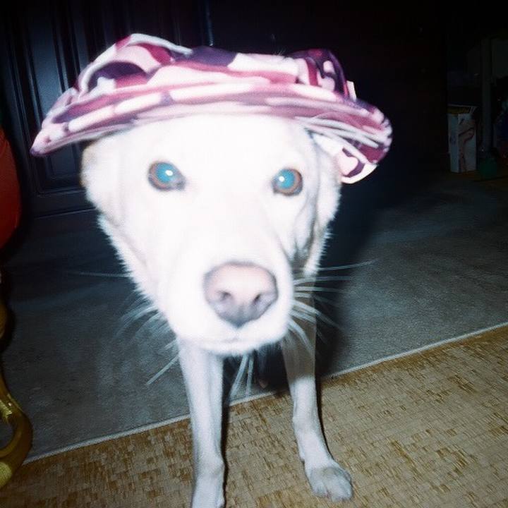 E70e78b5 c5e8 443f b957 e962669dbc53