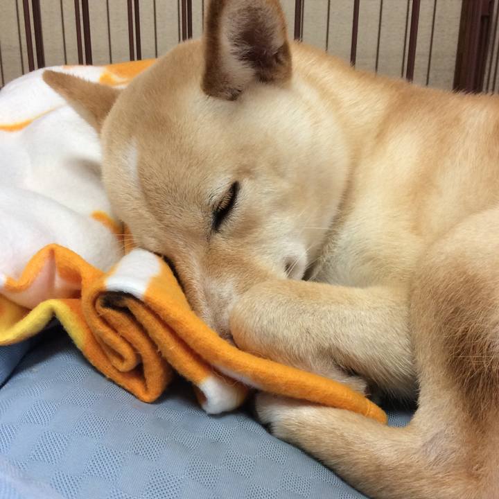 E71007c1 7639 4991 be91 f6fe84a5728d