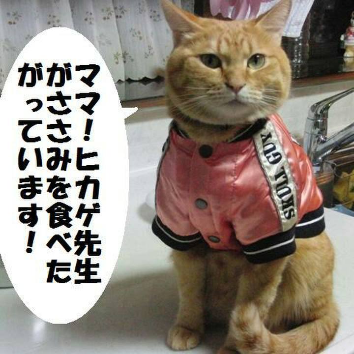 E710929c 7f8f 4021 bded f4358e41e495