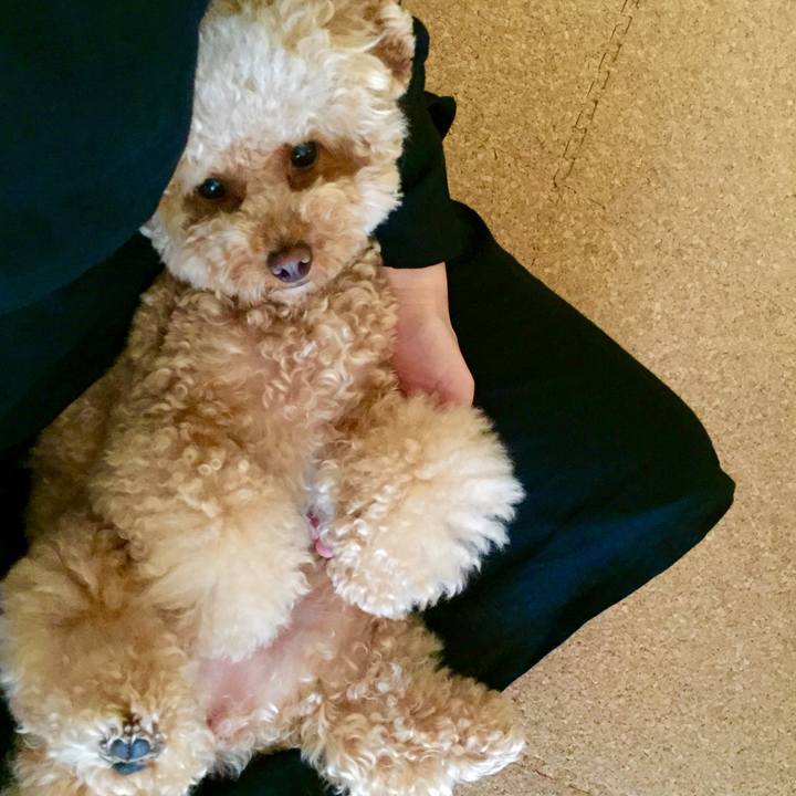 E710f2ff 7401 4fed 8f29 f85607c42e5c